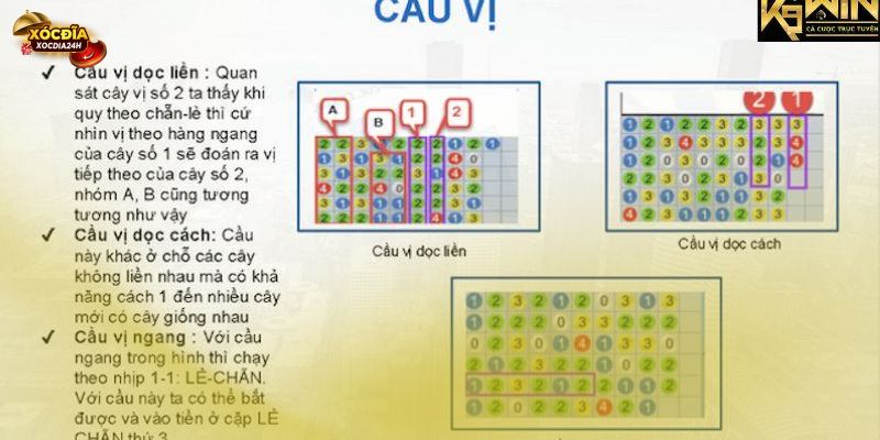 Cung cấp kiến thức chi tiết về cách bắt cầu xóc đĩa online